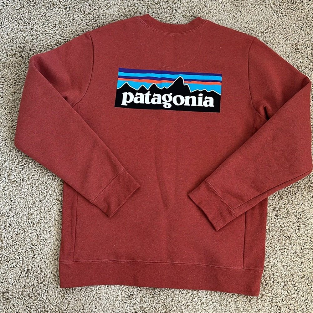 Patagonia Sweatshirt NWOT - Picture 4 of 4